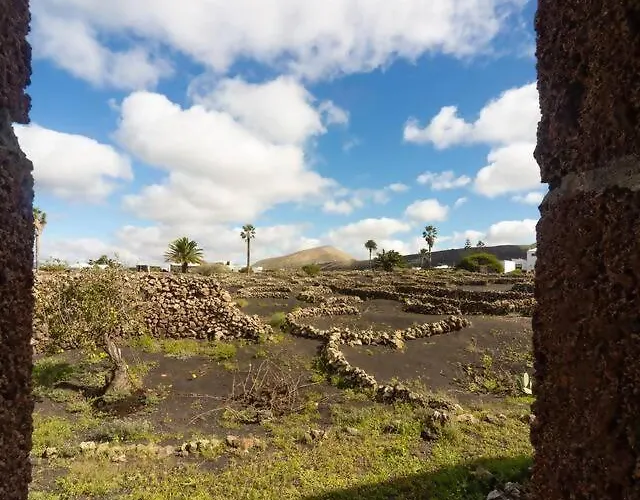 Casa Entre Vinedos En Masdache Vakantiehuis